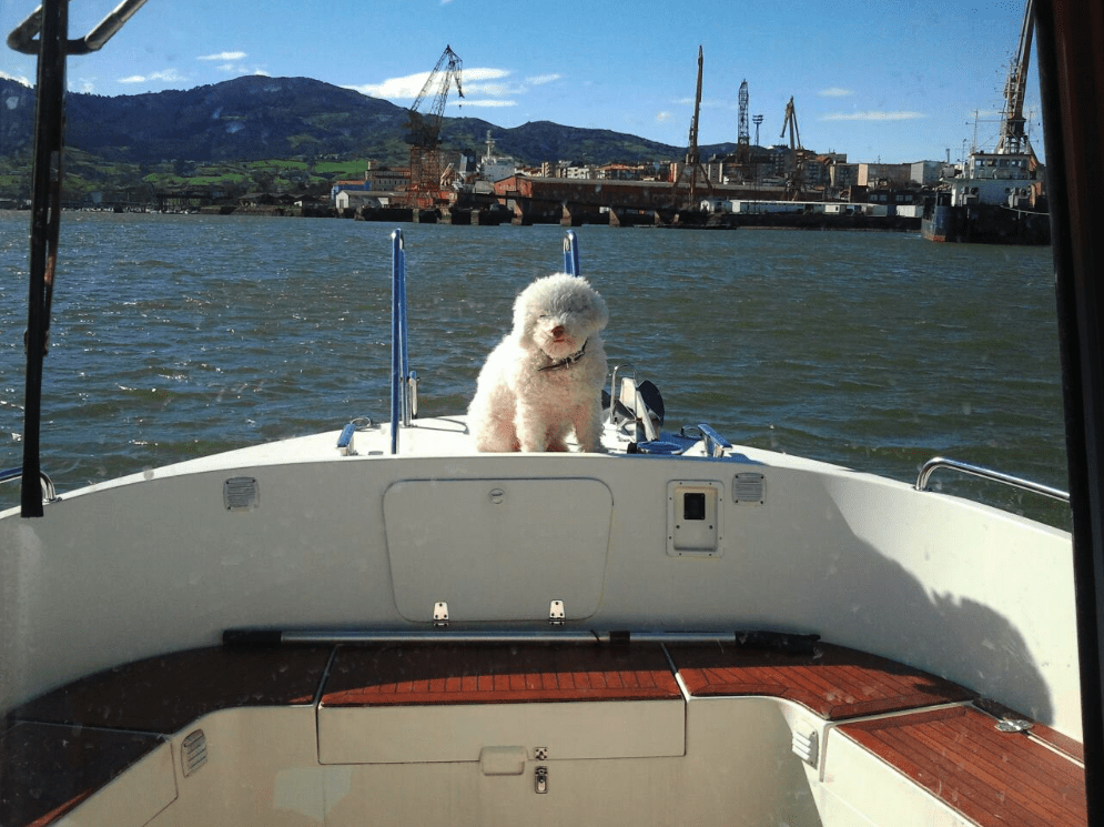 excursiones en barco